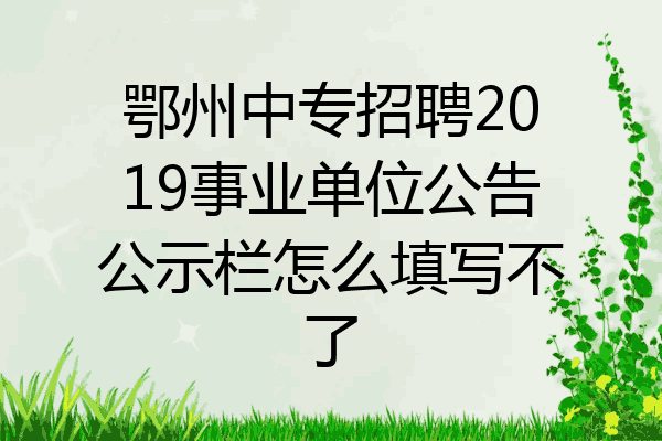 鄂州中专招聘2019事业单位公告公示栏怎么填写不了