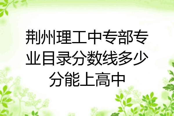 荆州理工中专部专业目录分数线多少分能上高中