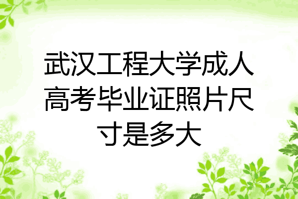 武汉工程大学成人高考毕业证照片尺寸是多大