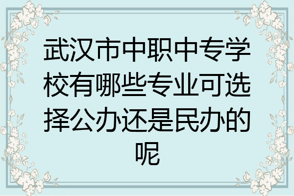 武汉市中职中专学校有哪些专业可选择公办还是民办的呢