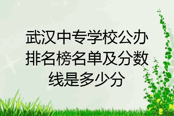 武汉中专学校公办排名榜名单及分数线是多少分