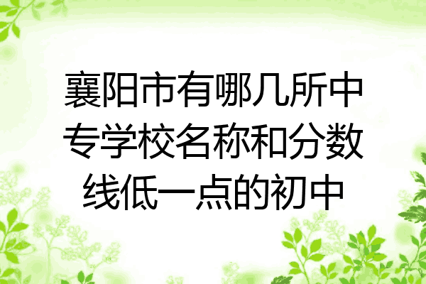 襄阳市有哪几所中专学校名称和分数线低一点的初中