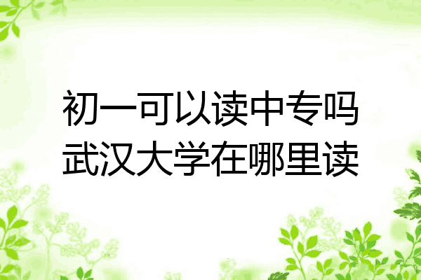 初一可以读中专吗武汉大学在哪里读