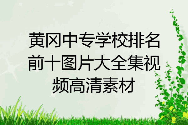 黄冈中专学校排名前十图片大全集视频高清素材