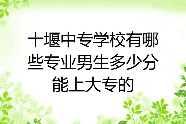 十堰中专学校有哪些专业男生多少分能上大专的