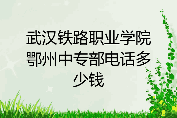 武汉铁路职业学院鄂州中专部电话多少钱