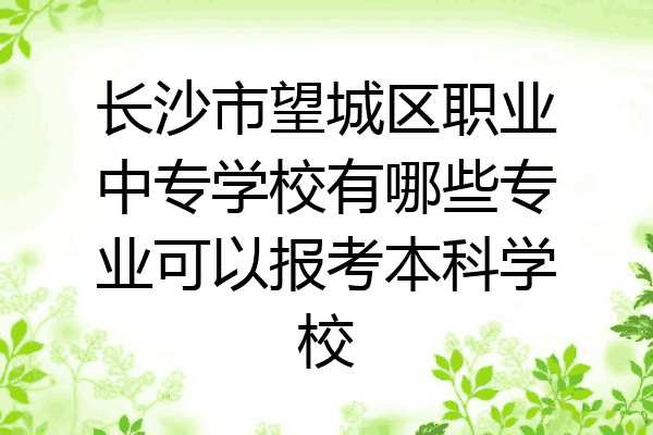 长沙市望城区职业中专学校有哪些专业可以报考本科学校