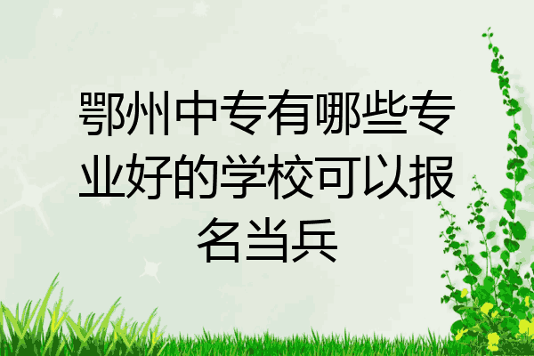 鄂州中专有哪些专业好的学校可以报名当兵