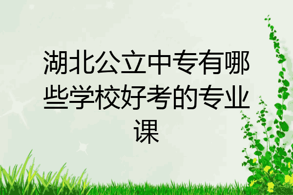 湖北公立中专有哪些学校好考的专业课