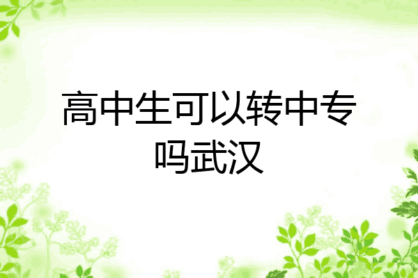 高中生可以转中专吗武汉