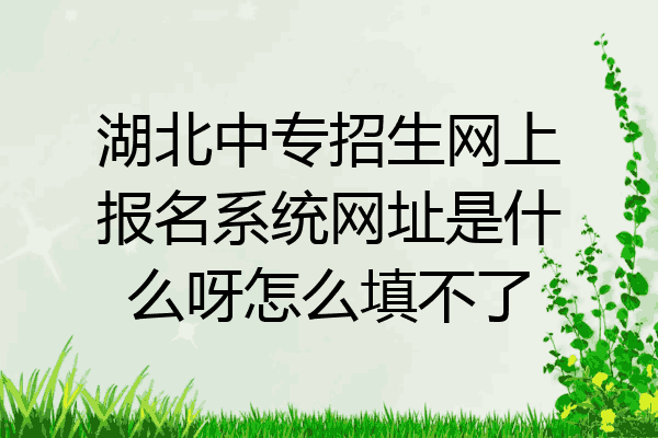 湖北中专招生网上报名系统网址是什么呀怎么填不了
