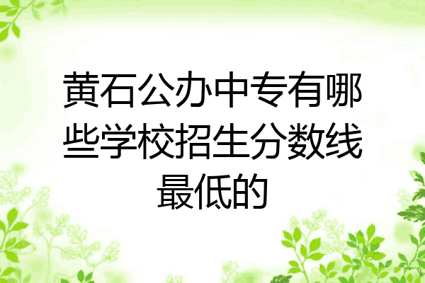 黄石公办中专有哪些学校招生分数线最低的