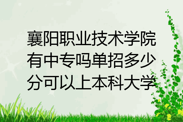 襄阳职业技术学院有中专吗单招多少分可以上本科大学
