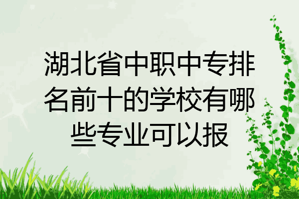 湖北省中职中专排名前十的学校有哪些专业可以报