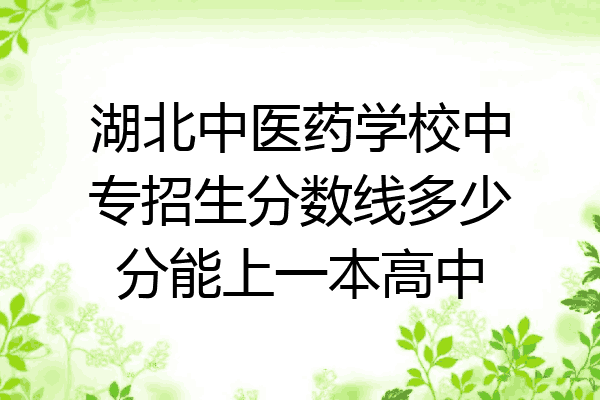 湖北中医药学校中专招生分数线多少分能上一本高中
