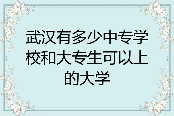 武汉有多少中专学校和大专生可以上的大学