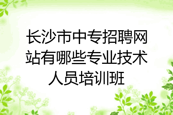 长沙市中专招聘网站有哪些专业技术人员培训班