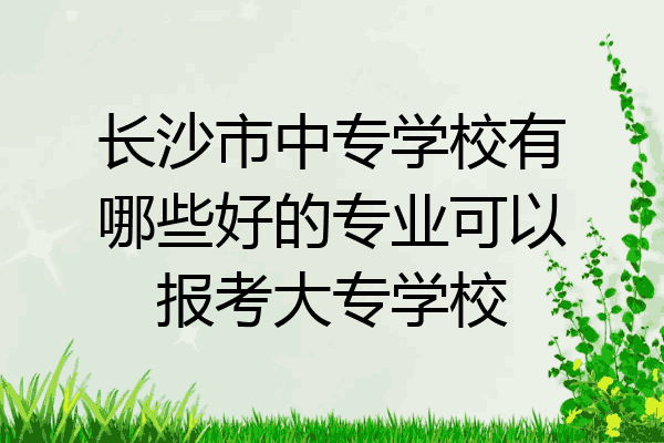 长沙市中专学校有哪些好的专业可以报考大专学校