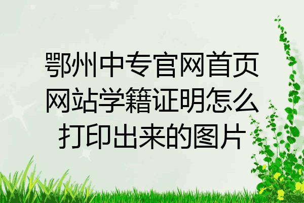 鄂州中专官网首页网站学籍证明怎么打印出来的图片