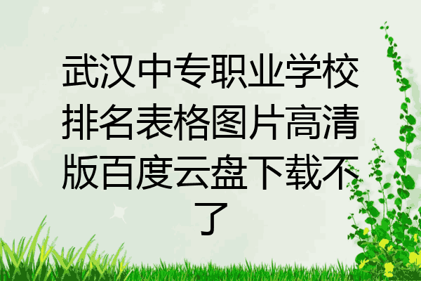 武汉中专职业学校排名表格图片高清版百度云盘下载不了