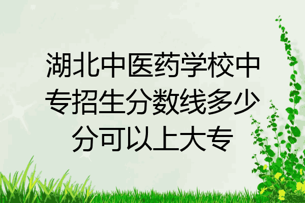 湖北中医药学校中专招生分数线多少分可以上大专