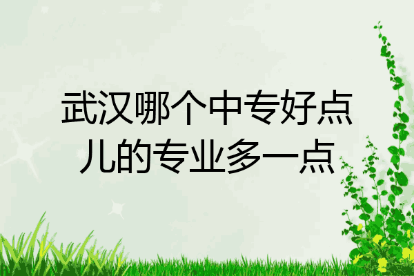 武汉哪个中专好点儿的专业多一点