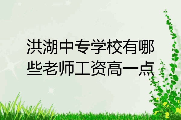 洪湖中专学校有哪些老师工资高一点