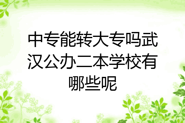 中专能转大专吗武汉公办二本学校有哪些呢