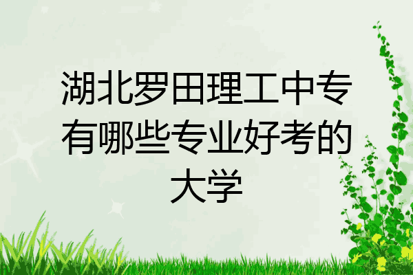 湖北罗田理工中专有哪些专业好考的大学