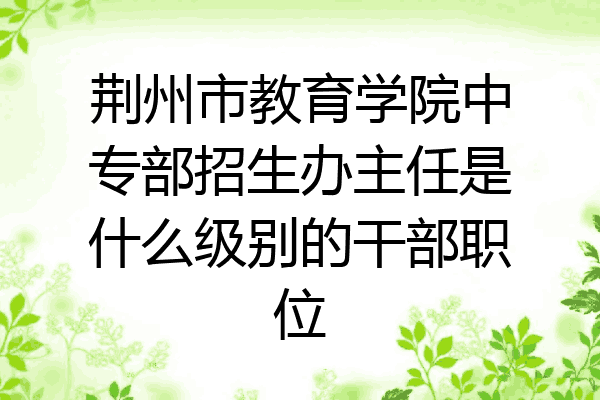 荆州市教育学院中专部招生办主任是什么级别的干部职位