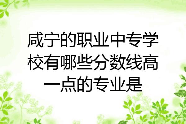 咸宁的职业中专学校有哪些分数线高一点的专业是