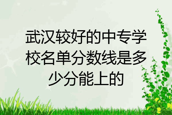武汉较好的中专学校名单分数线是多少分能上的