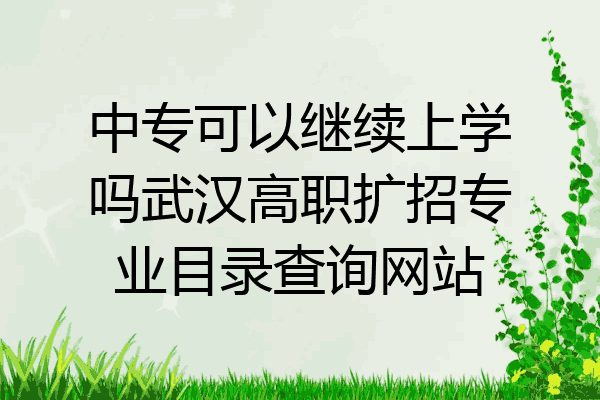 中专可以继续上学吗武汉高职扩招专业目录查询网站