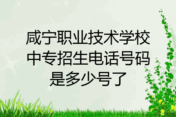 咸宁职业技术学校中专招生电话号码是多少号了