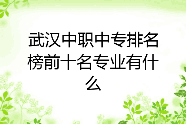 武汉中职中专排名榜前十名专业有什么