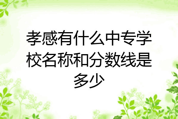 孝感有什么中专学校名称和分数线是多少