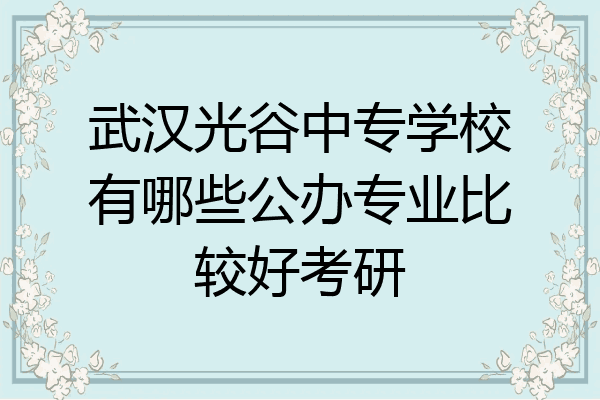 武汉光谷中专学校有哪些公办专业比较好考研