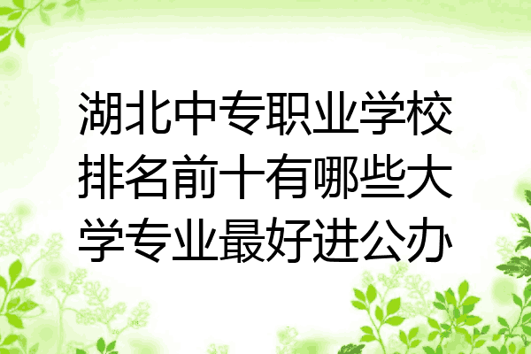 湖北中专职业学校排名前十有哪些大学专业最好进公办