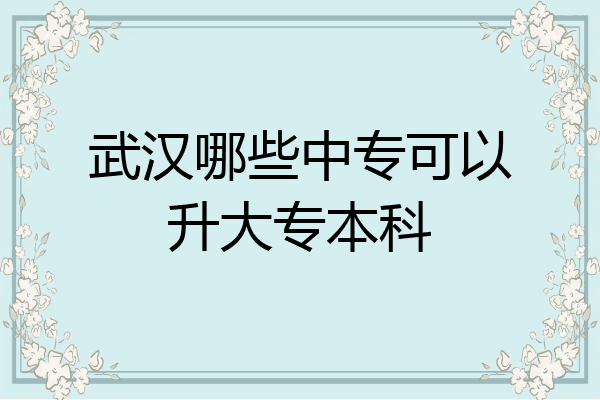 武汉哪些中专可以升大专本科