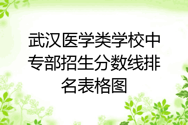 武汉医学类学校中专部招生分数线排名表格图