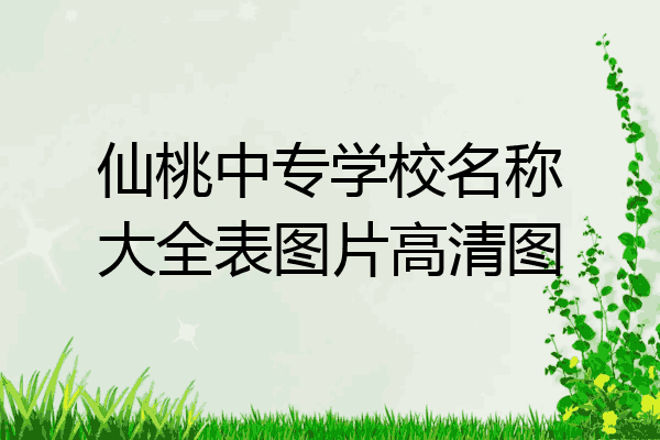 仙桃中专学校名称大全表图片高清图