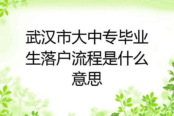 武汉市大中专毕业生落户流程是什么意思