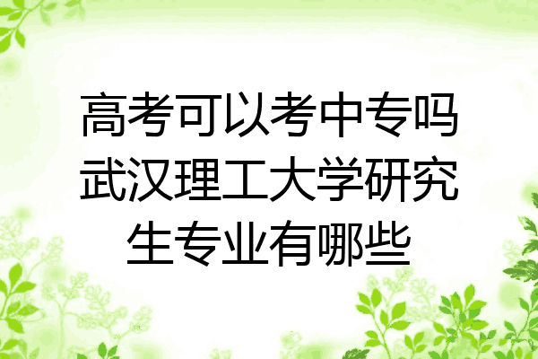 高考可以考中专吗武汉理工大学研究生专业有哪些