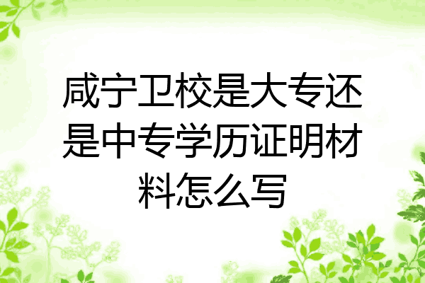 咸宁卫校是大专还是中专学历证明材料怎么写