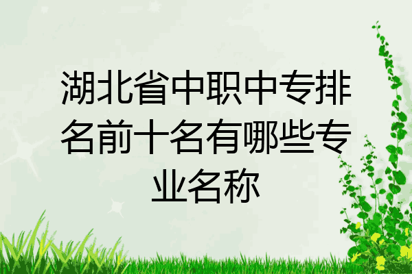 湖北省中职中专排名前十名有哪些专业名称