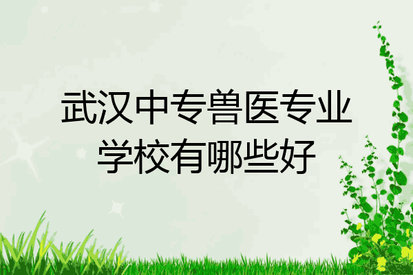 武汉中专兽医专业学校有哪些好