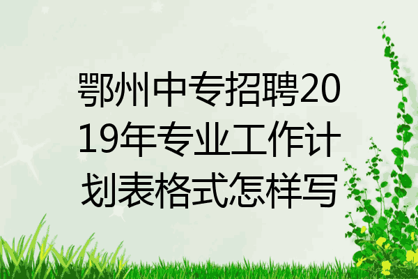 鄂州中专招聘2019年专业工作计划表格式怎样写