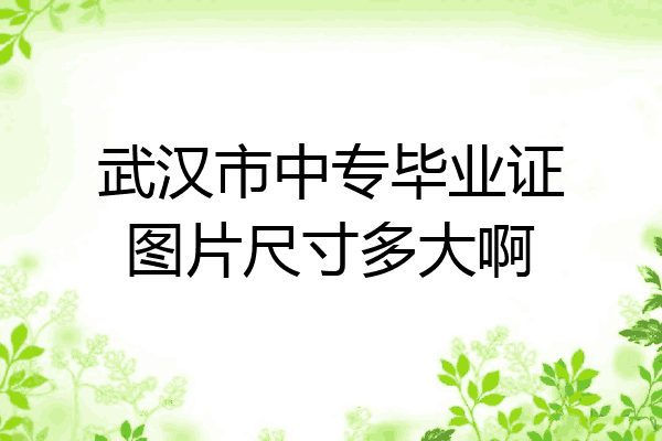 武汉市中专毕业证图片尺寸多大啊