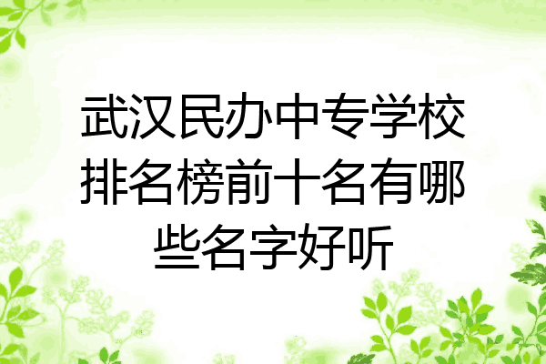 武汉民办中专学校排名榜前十名有哪些名字好听
