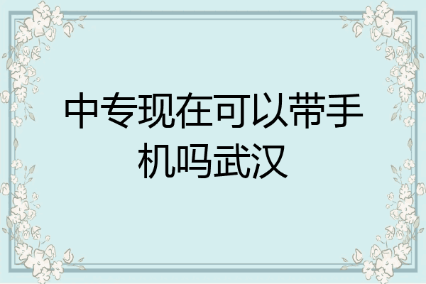 中专现在可以带手机吗武汉